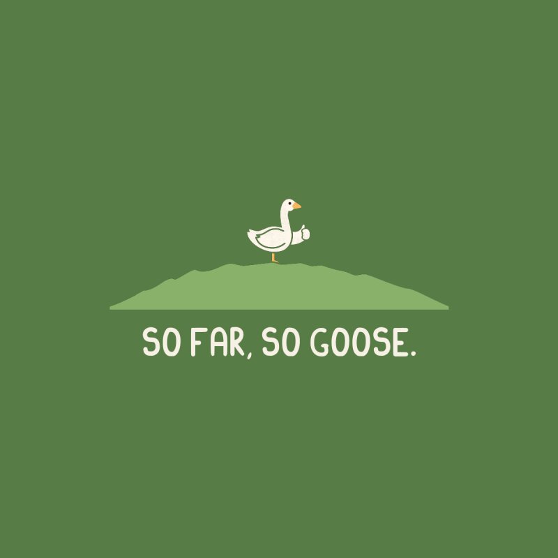 So Far So Goose