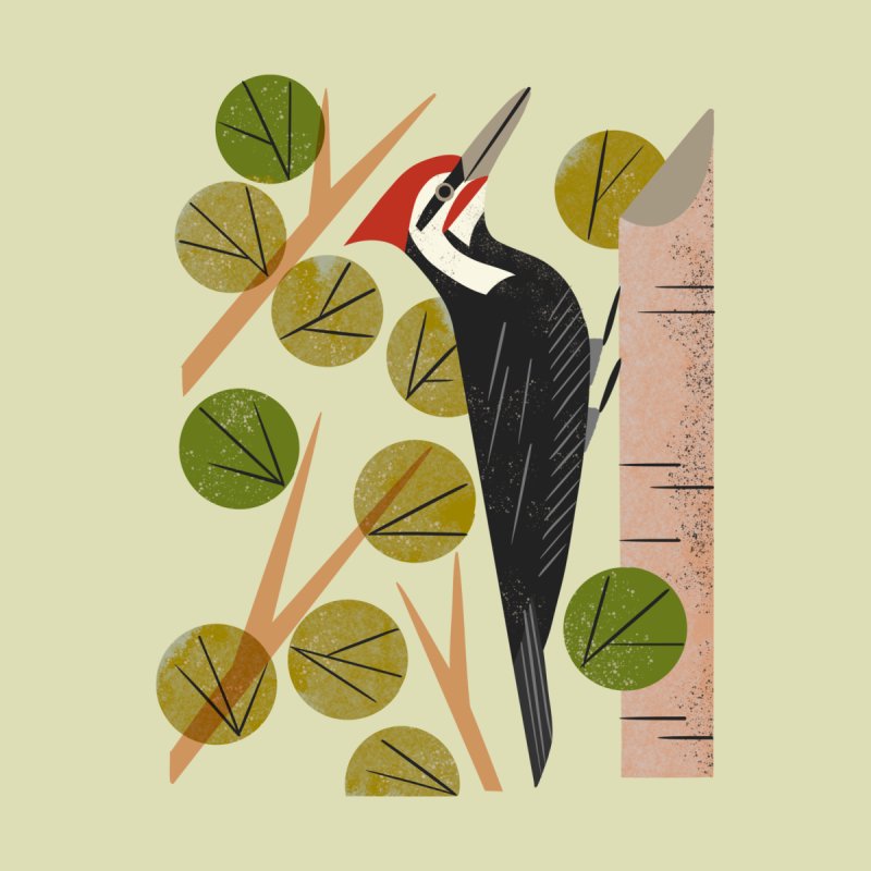 Woodpecker in Aspen Tree