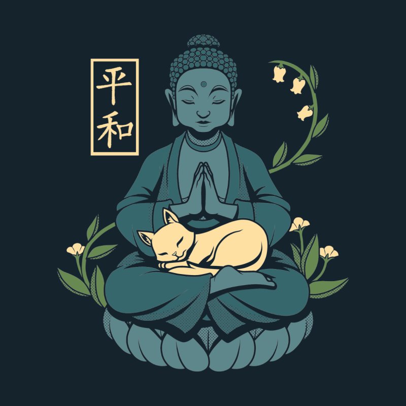 Cat Meditation Buddhism Buddha