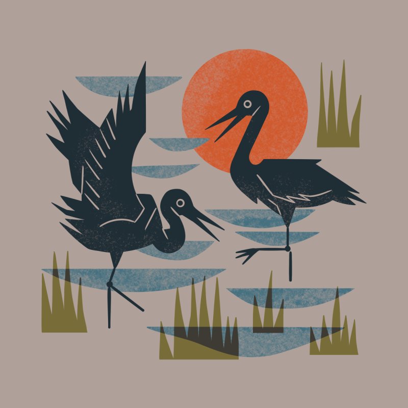 Cranes Wading At Sunset