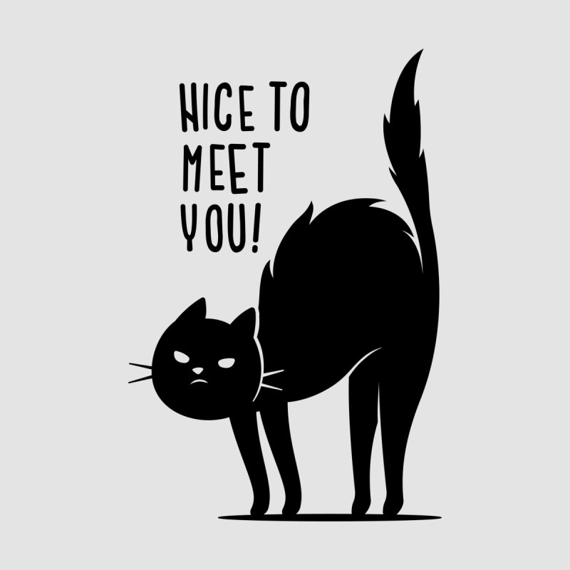 Nice To Meet You!