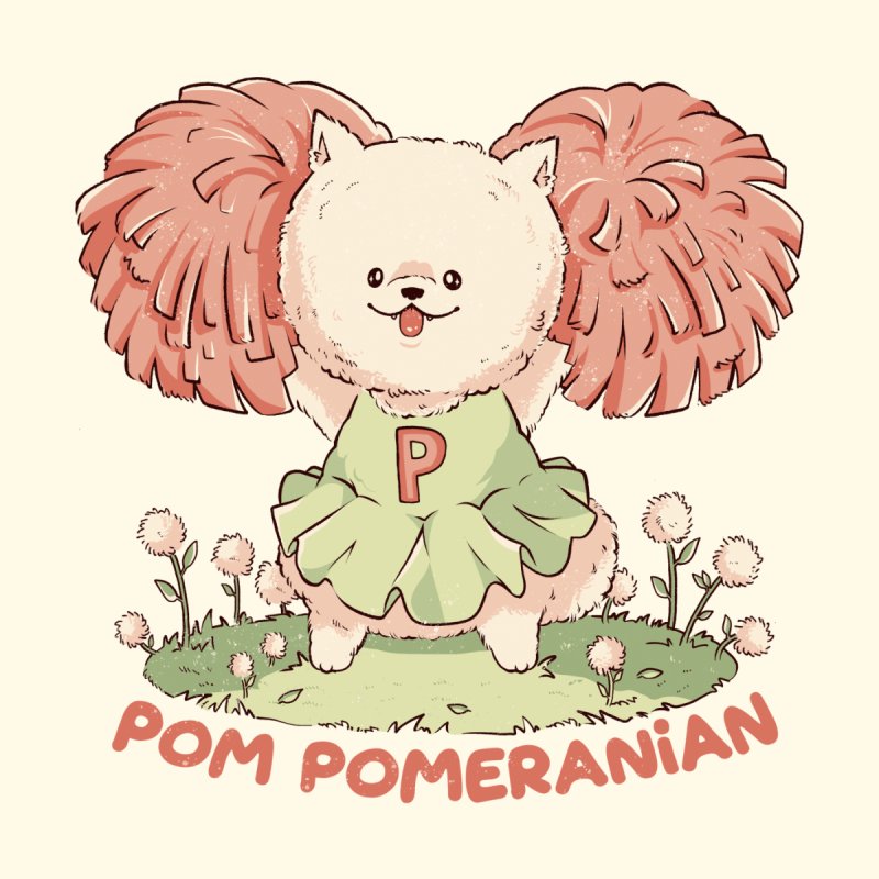 Pom Pomeranian
