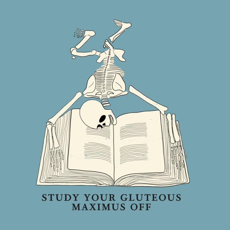 Study Your Gluteous Maximus Off