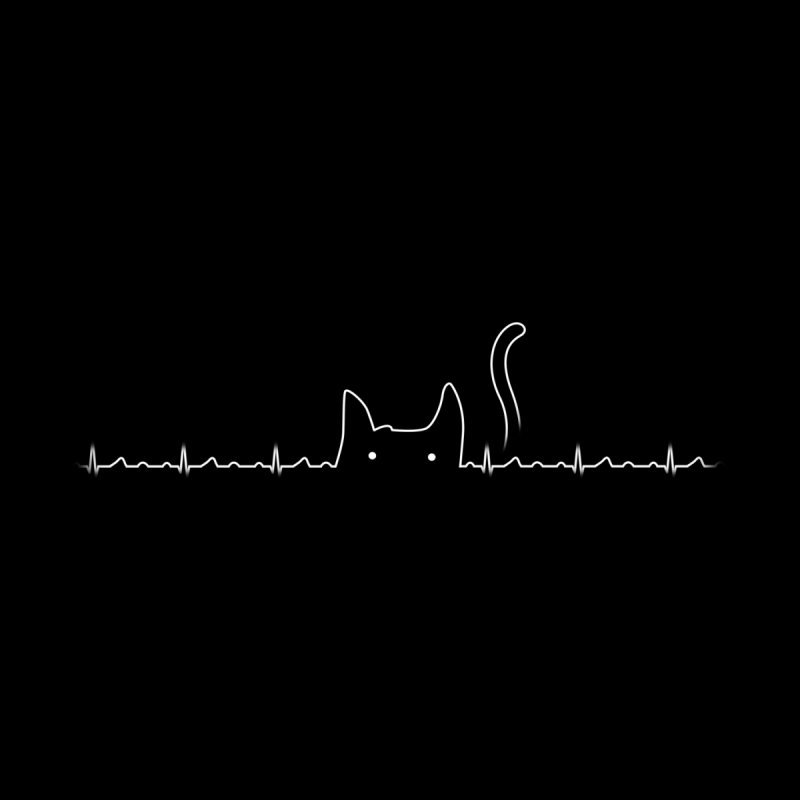 There Is a Cat In My Heart