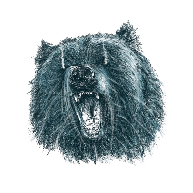 Beast Bear