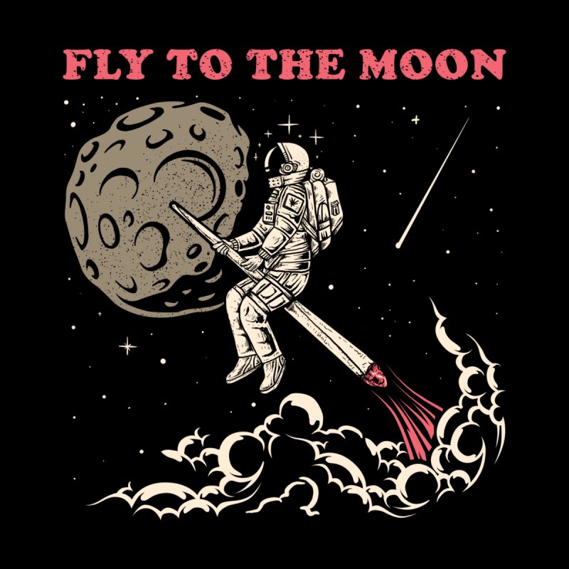 Fly To The Moon