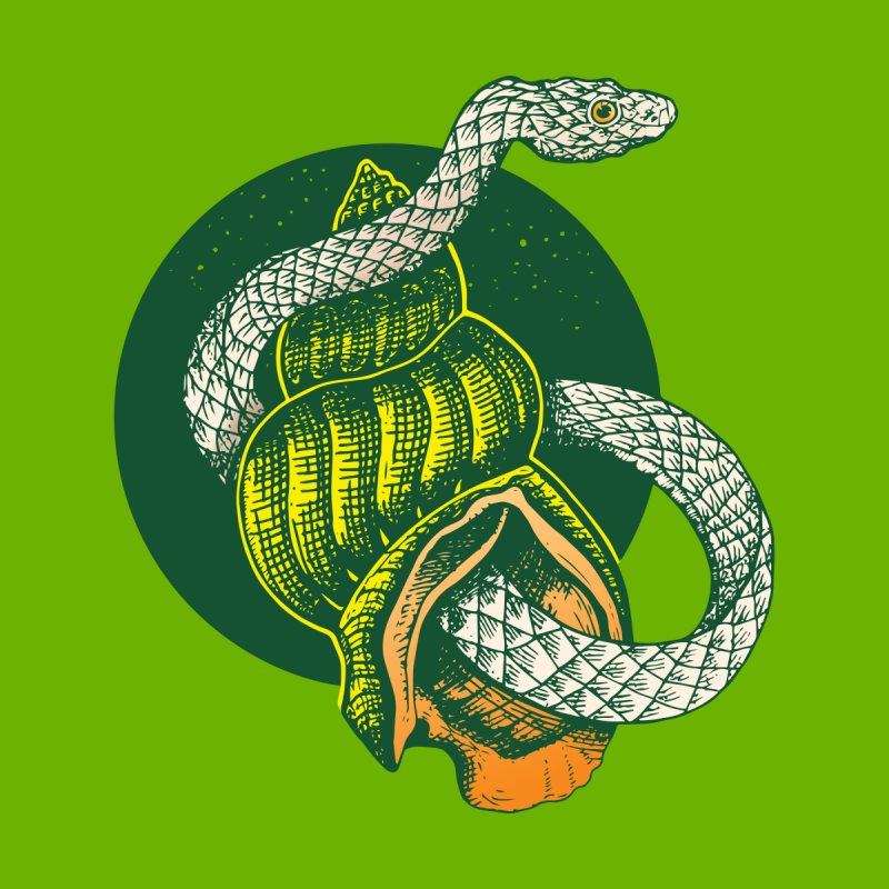 Green Snake and Shell