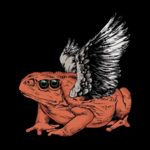 A whimsical illustration of a bright orange frog with large blue eyes and majestic white wings, set against a black background.