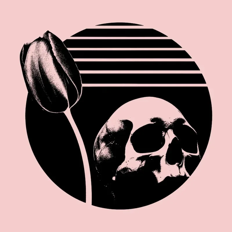 Black skull and tulip against a pink background, framed by a circular canvas with horizontal lines above.