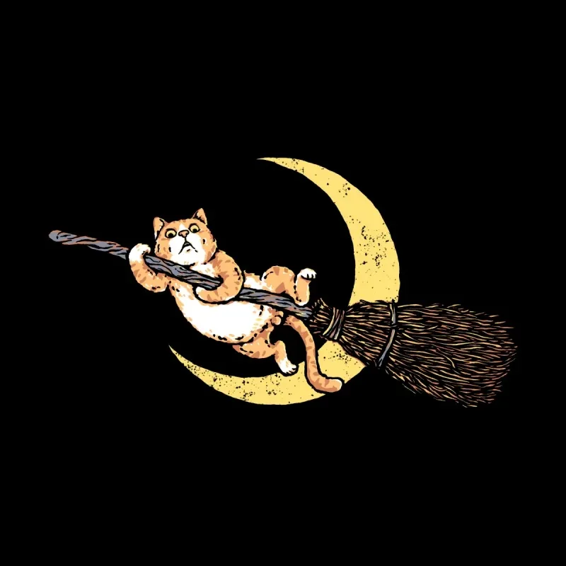 A whimsical orange cat clings to a broomstick, soaring against a crescent moon on a black background.
